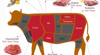 Giá thịt Bò mỹ bao nhiêu tiền 1Kg 2023? Mua bán ở đâu rẻ ngon