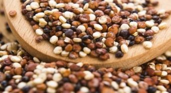 Giá hạt Quinoa bao nhiêu 1kg hôm nay 2022? Mua ở đâu tphcm, hà nội