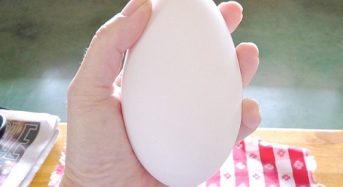 Giá trứng Ngỗng bao nhiêu tiền 2022? Mua bán ở đâu rẻ