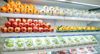 Top 8 Cửa hàng bán trái cây nhập khẩu Đà Nẵng tốt giá rẻ 2022