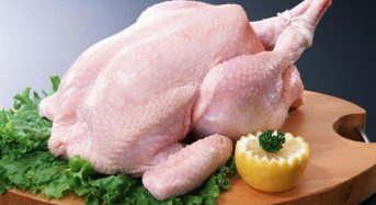 Top 10 Nơi cung cấp thịt gà giá sỉ giá nhất 2022