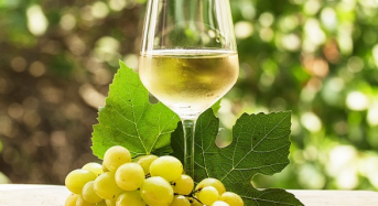 Giá các giống nho làm rượu vang trắng ngon?
